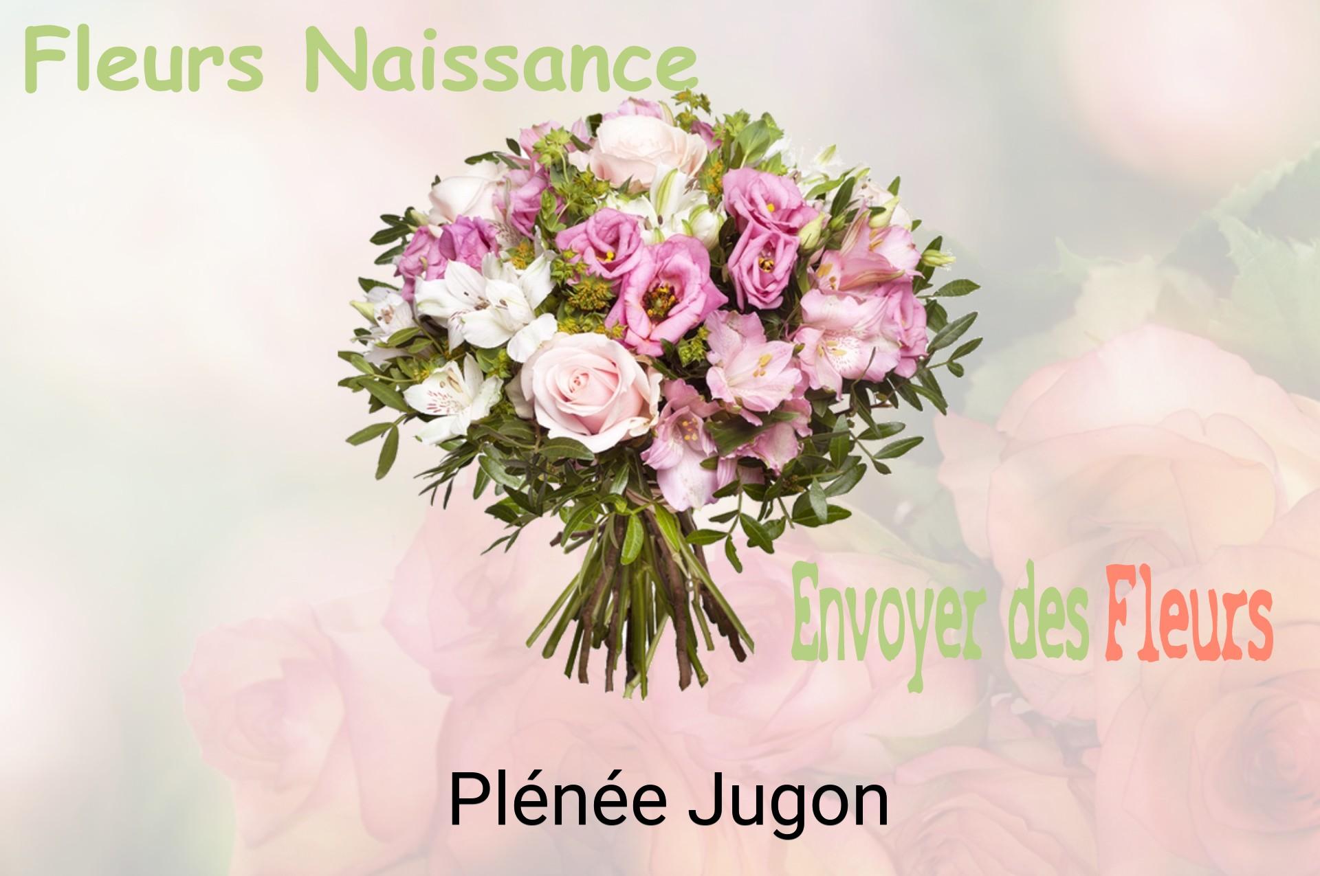 Bouquet de fleurs de naissance livré à Plénée-Jugon